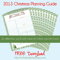 2013 Christmas Planning Guide