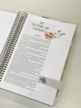 D&C - Planner Edition