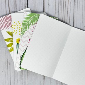 Desert Beauty -Cactus - TN Booklets - Set of 8