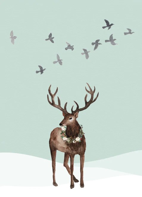 5x7 Cover - Winter Deer