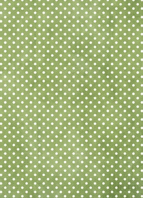 5x7 Cover - Green Polka Dot