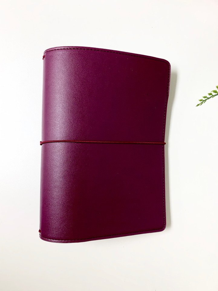 Traveler's Notebook (TN's)